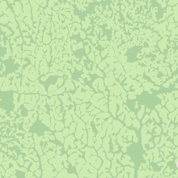 NW map tile