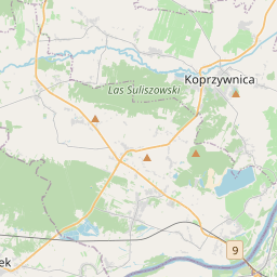 NW map tile