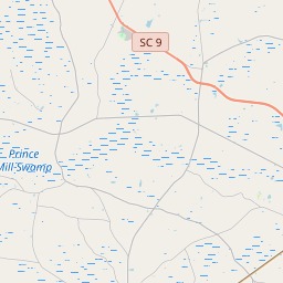 NW map tile